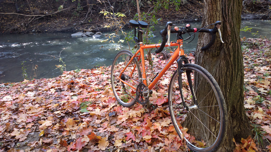 comfy road bike seat